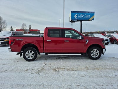 2024 Ford F-150 XLT